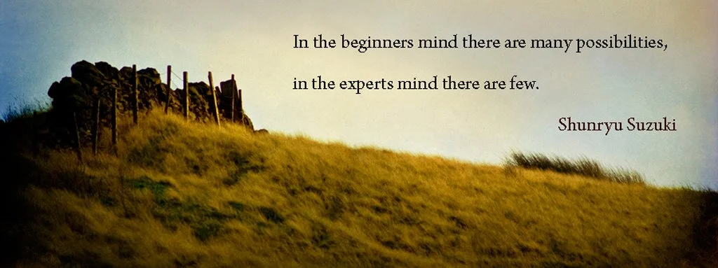 You are currently viewing Engage your Beginners Mind!